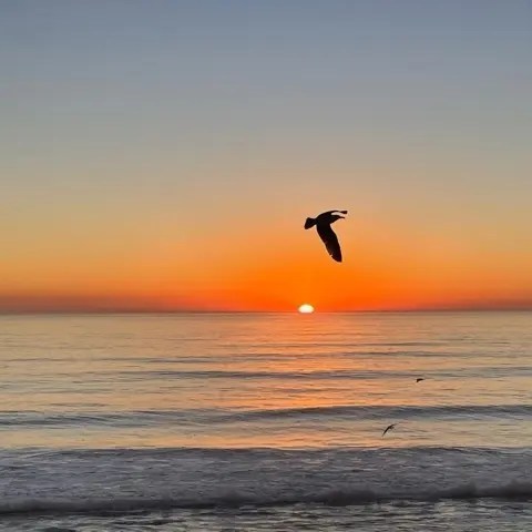 Carlsbad Beach sunset