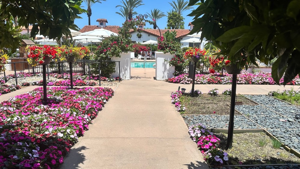 Garden path with flowers, leading to a pool area under sunny skies.