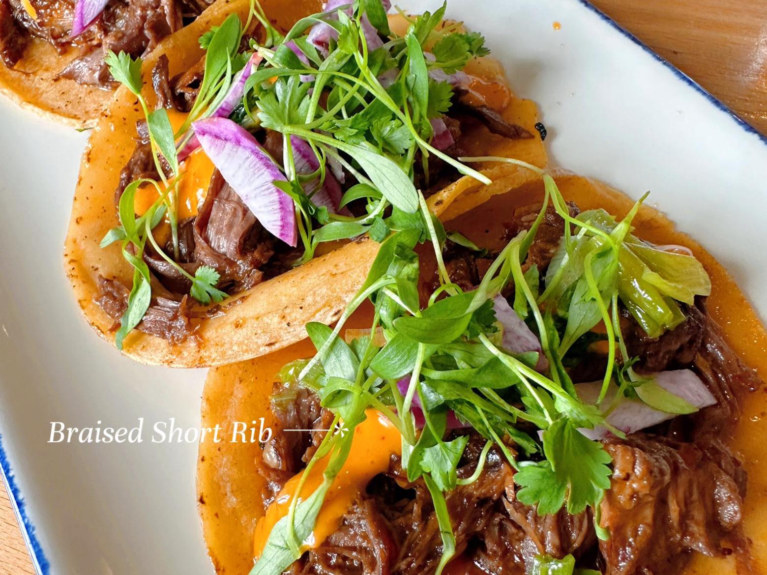 Three braised short rib tacos on a plate, topped with greens and red onion.