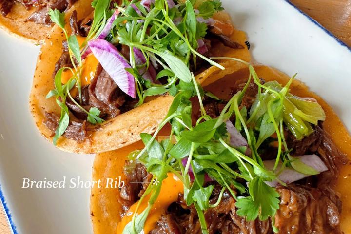 Three braised short rib tacos on a plate, topped with greens and red onion.