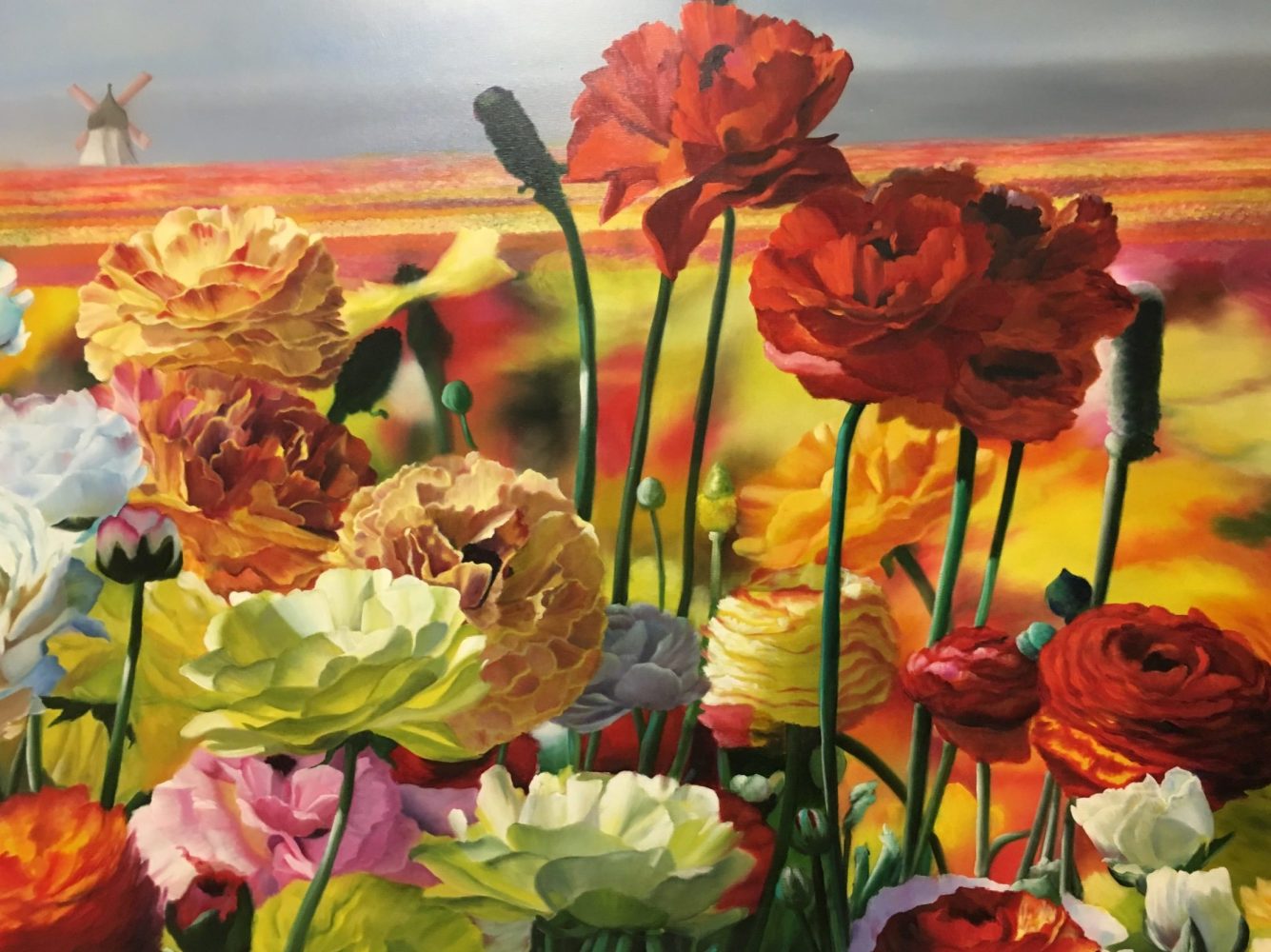 Carlsbad Flower Fields