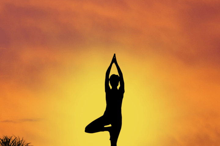 a bird flying in front of a sunset