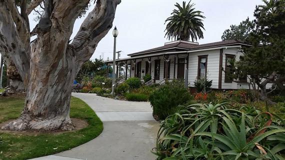 Historic wooden house with garden, large tree, palm, and winding path.