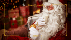 a close up of a stuffed animal