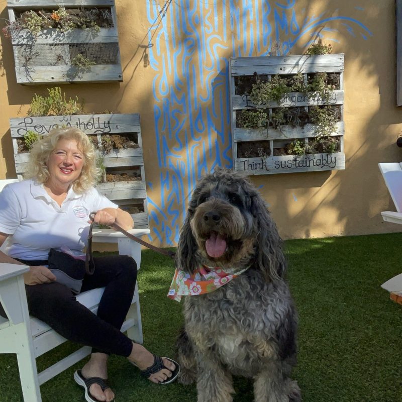 a group of people sitting around a dog