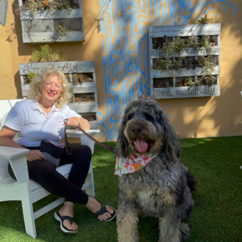 a person and a dog sitting in the grass