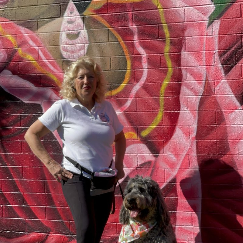 a person holding a dog posing for the camera