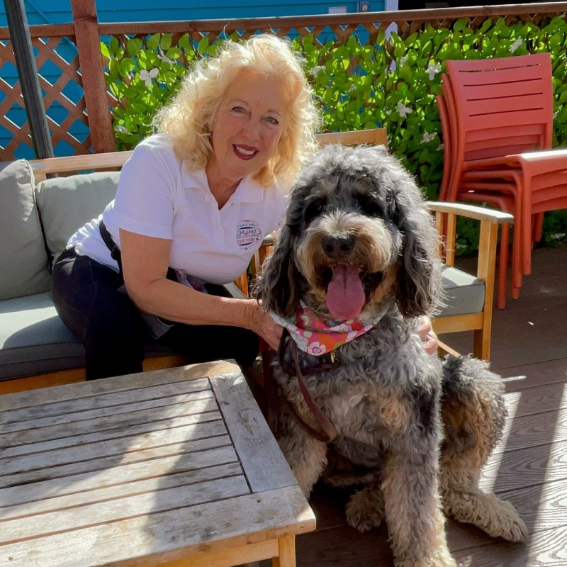 a person sitting on a bench with a dog