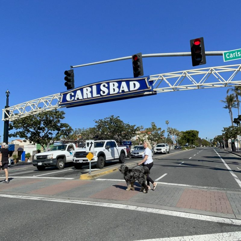 a group of people crossing a street next to a traffic light