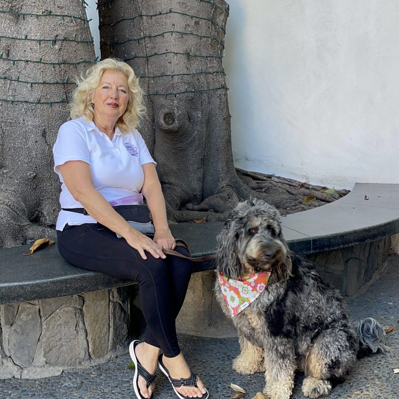 a person petting a dog on a leash