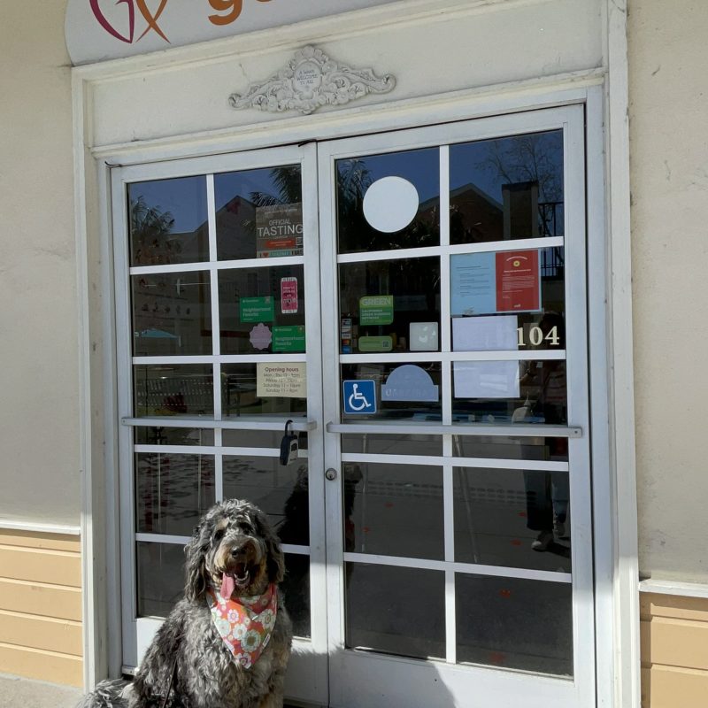 a dog sitting in front of a door