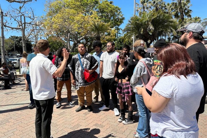 Crowd listening to a speaker outdoors, surrounded by trees and palm trees on a sunny day.