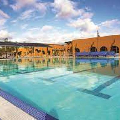 a group of people swimming in a pool of water