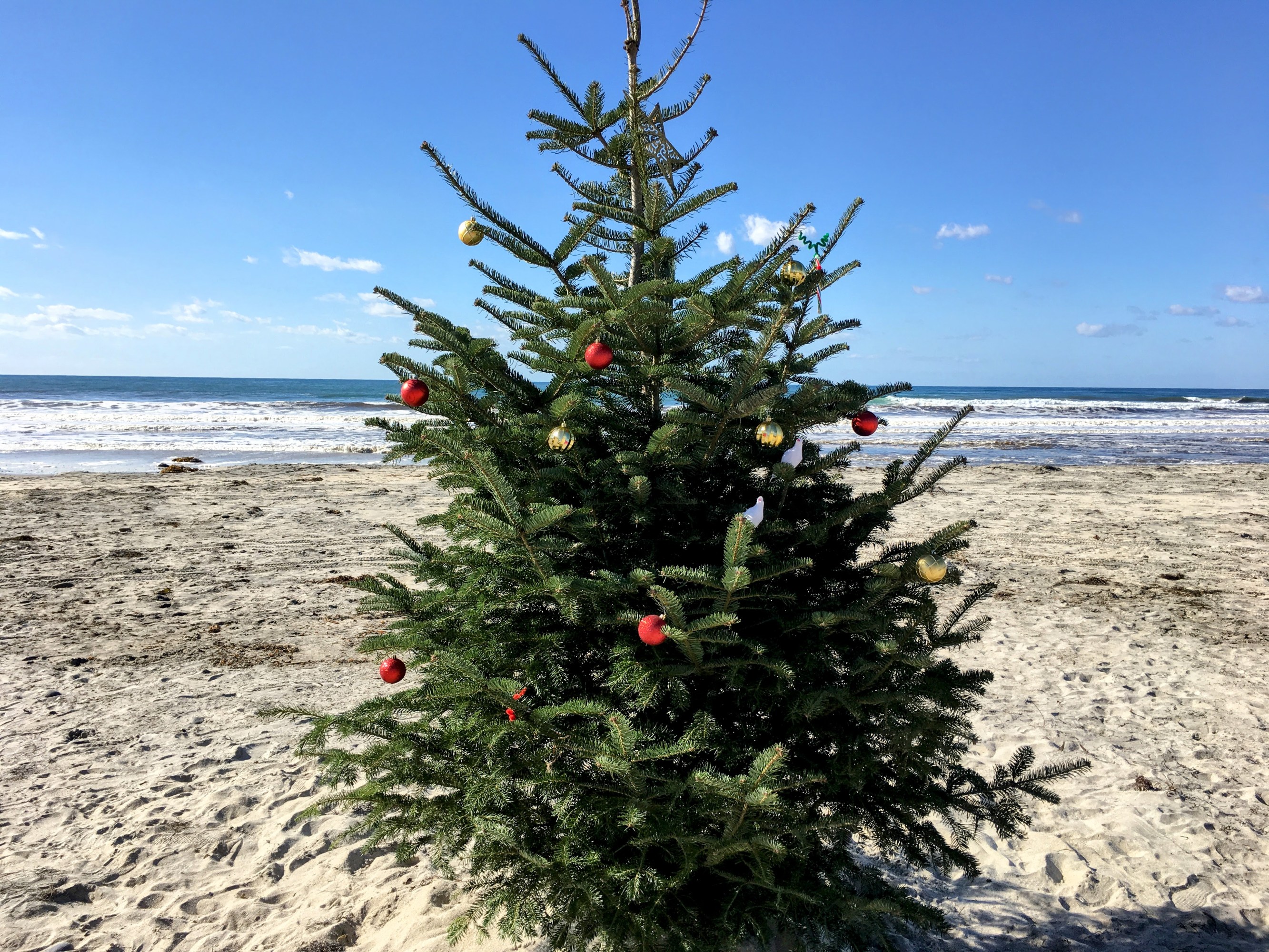 Christmas in Encinitas
