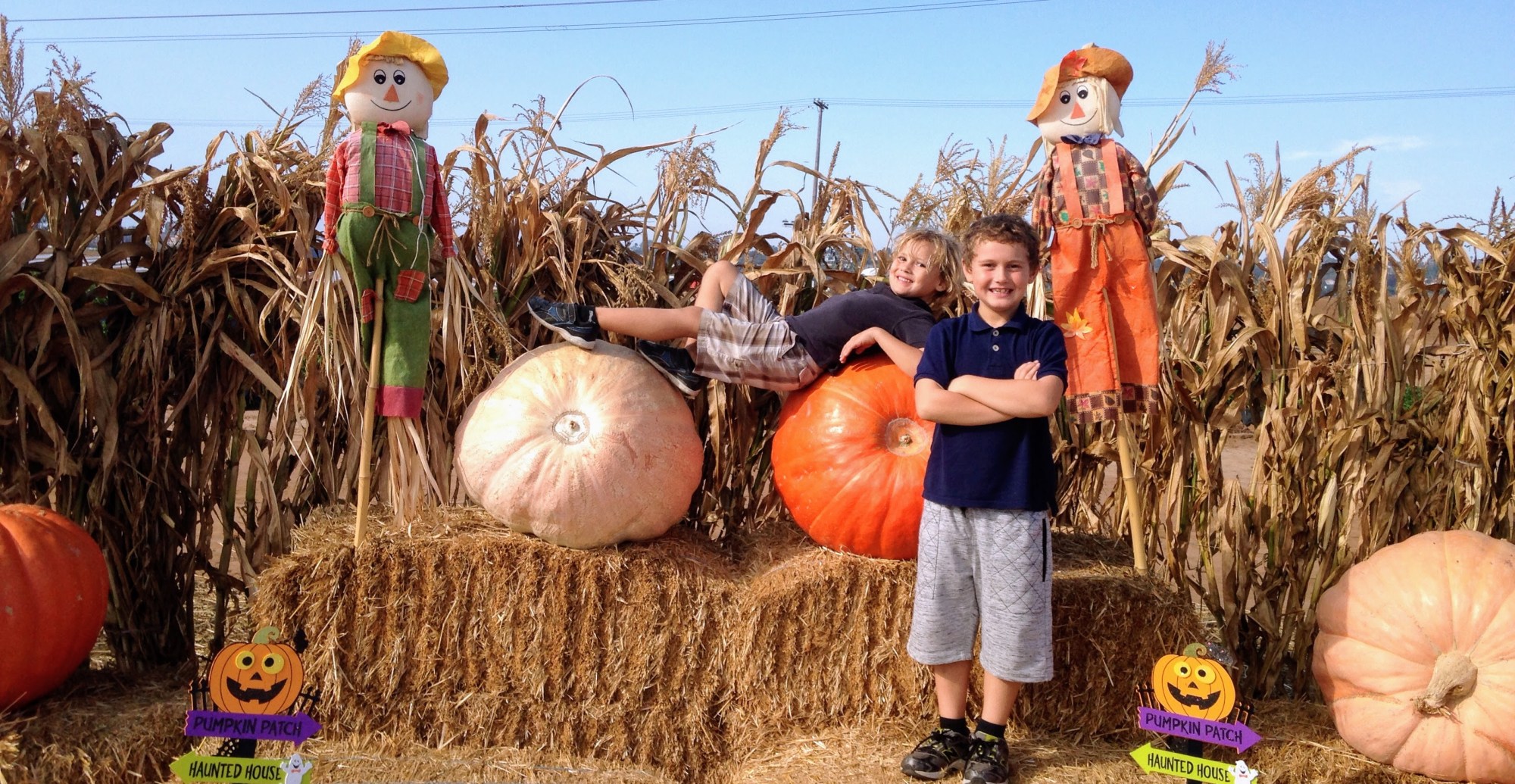 Two kids with pumpkins and scarecrows in a cornfield.