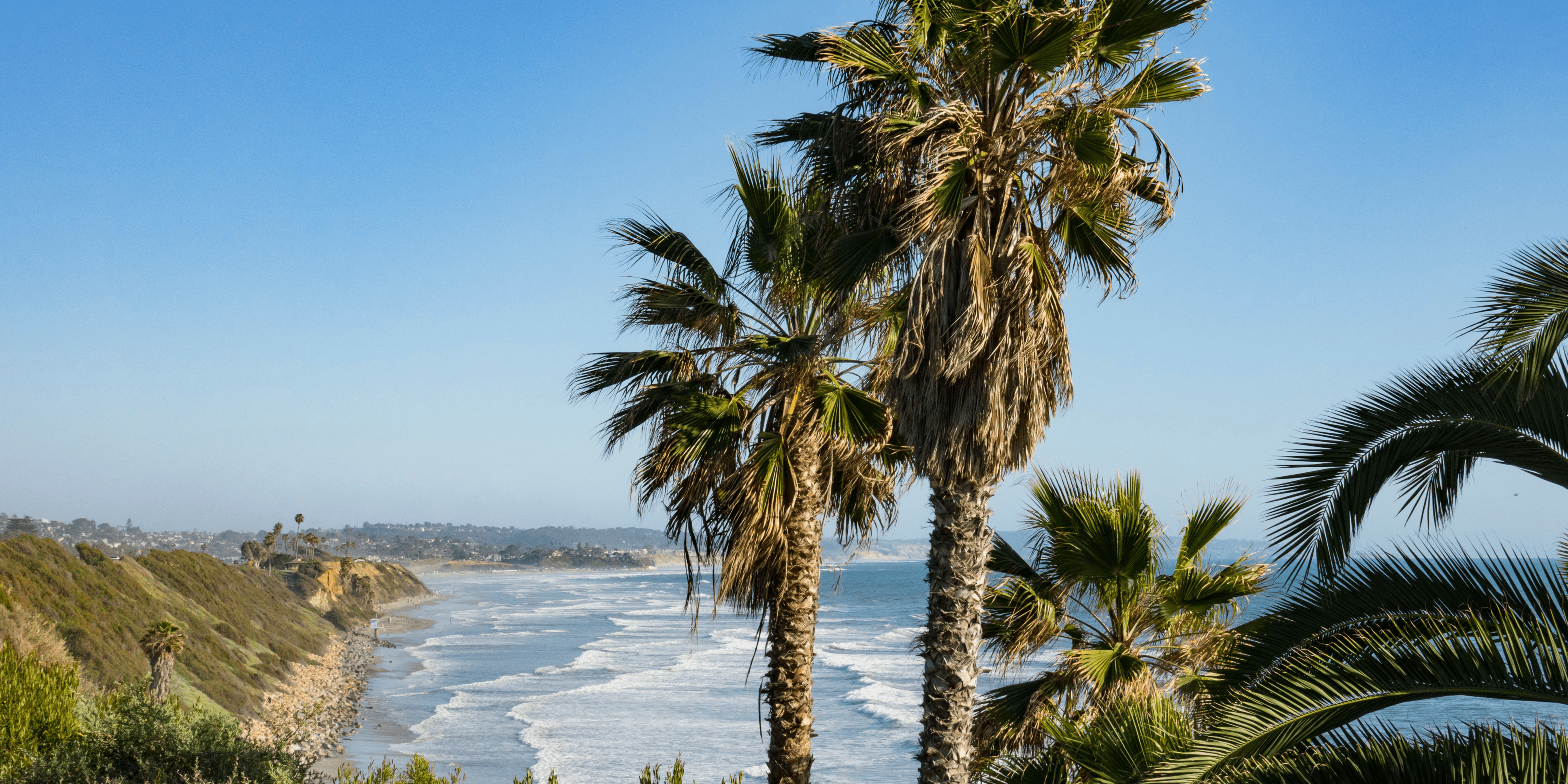 Palm trees overlooking a coastline with waves under a clear blue sky.