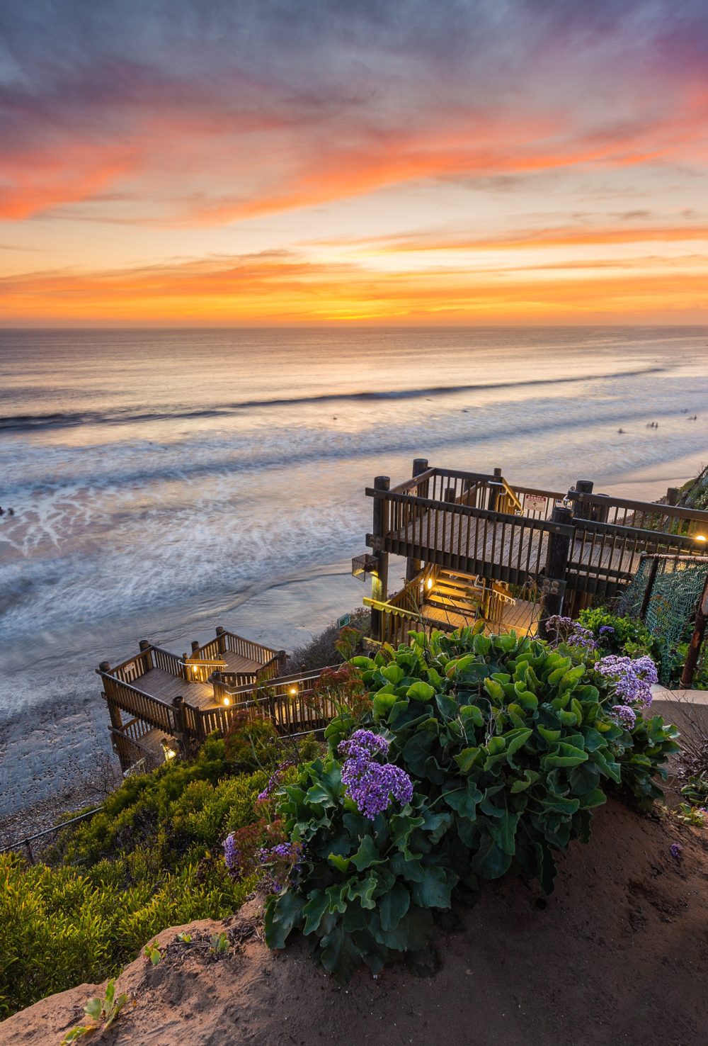 Sunset over ocean with wooden stairs and purple flowers on a cliff.