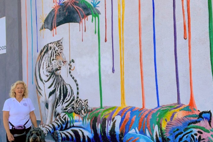 Person with dog beside a colorful tiger mural with rainbow paint drips on a wall.