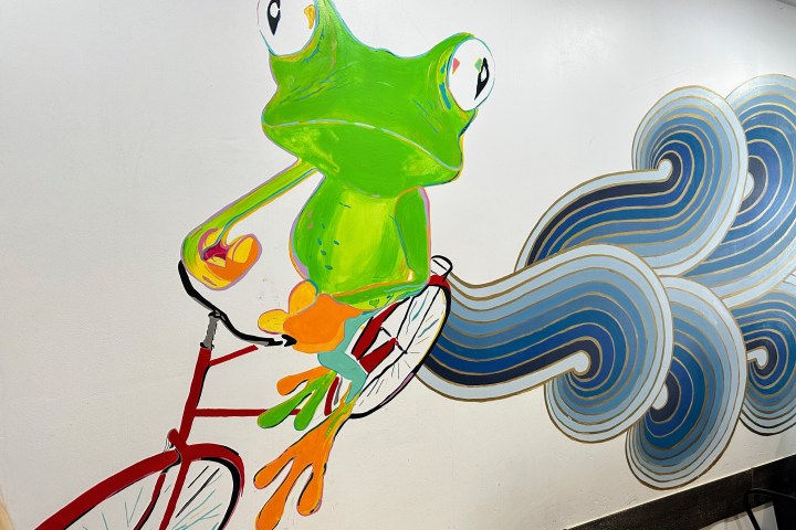 Colorful frog riding a red bicycle, painted on a wall with swirling patterns.
