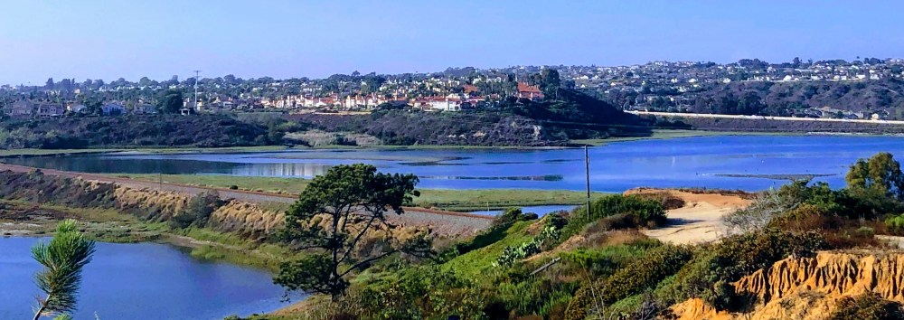 Coastal lagoon with a distant view of a suburban area and clear blue sky.