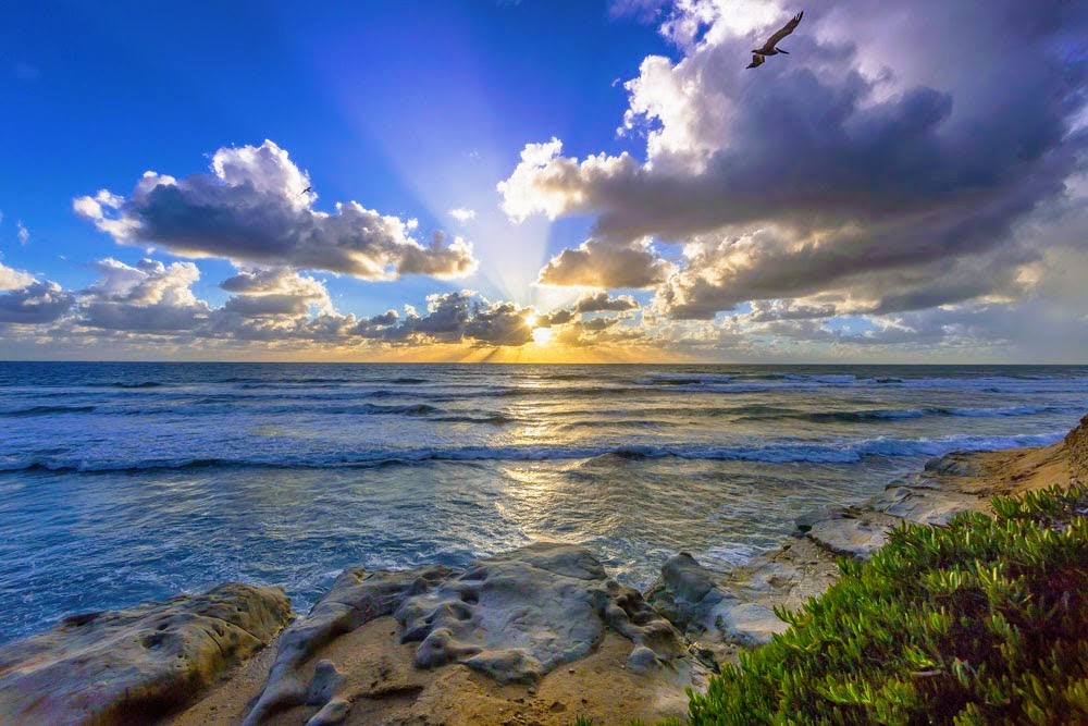 Sunset over ocean with clouds, sun rays, and a flying bird above rocky shore.