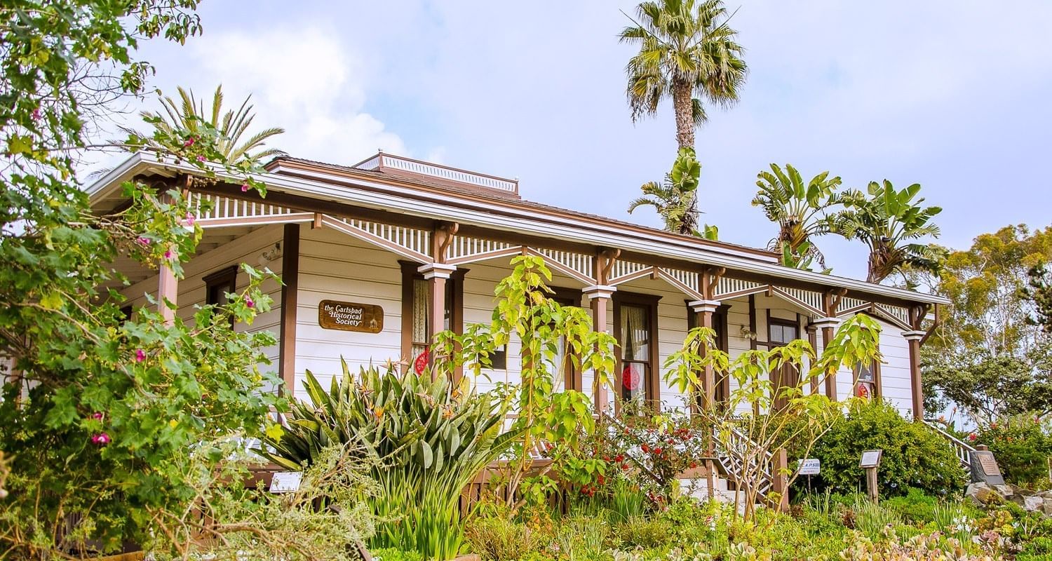 Quaint cottage surrounded by lush greenery and palm trees.