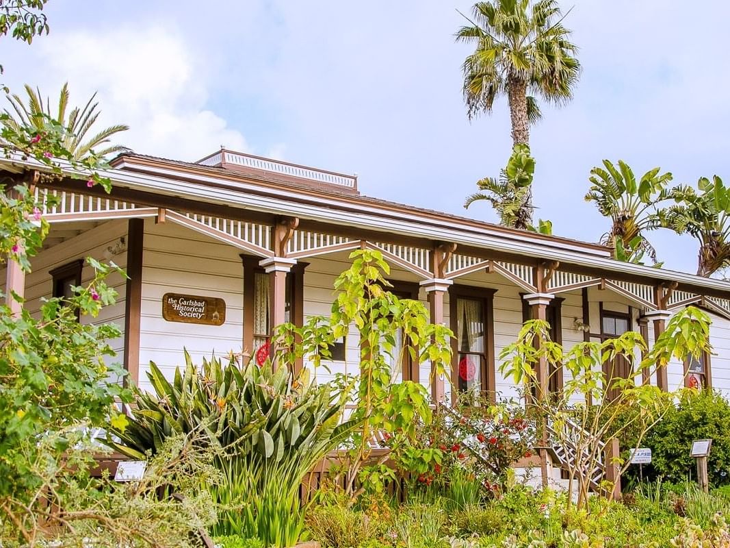 Historic wooden house with lush garden and palm trees.