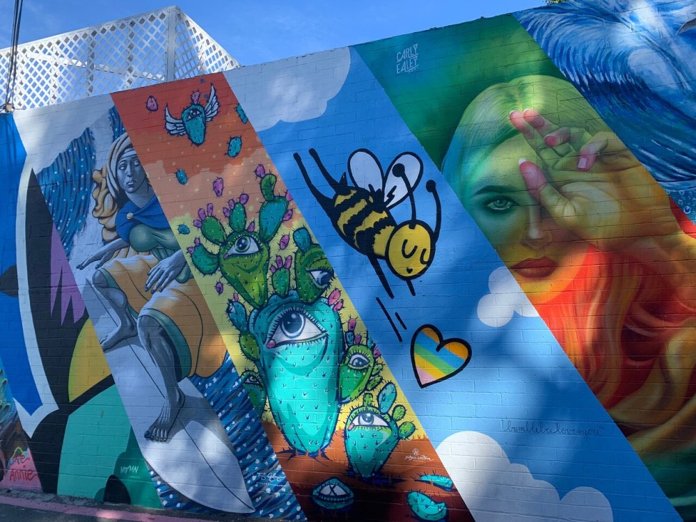 Colorful mural featuring a bee, cactus with eyes, and a woman's face.